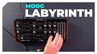 Everything we love about Moog Labyrinth... and one thing we don't – Synth review