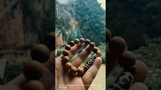 #檀香 #sandalwood #佛心四眼天珠 #Buddha heart four eyed dzi bead #老山檀香木 #jewelry #dzibead #闻玩香 #bracelet