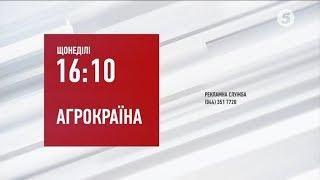 Рекламный блок и анонсы (5 канал, 05.10.2018)