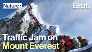 Traffic Jam on Mount Everest