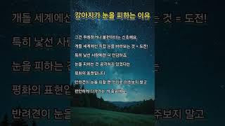 강아지가 눈을 피하는 이유 #강아지  #명상 #명언 #삶 #삶의지혜 #좋은글 #좋은글귀 #인생 #인생명언 #인생조언 #아침 #아침묵상 #건강 #철학 #부자 #자기계발 #학습