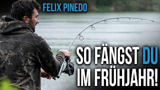 Karpfenangeln im Frühjahr - Felix Pinedo macht's vor!