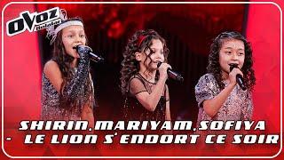 Ovoz Bolalar - SHIRIN | MARIYAM | SOFIYA -  LE LION S'ENDORT CE SOIR (SEVARA NAZARXON)