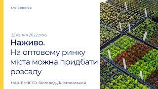 Білгород-Дністровський: розсаду можливо придбати на оптовому ринку