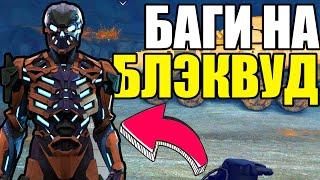 НОВЫЕ БАГИ НА БЛЭКВУД В WARFACE. БЕСКОНЕЧНЫЕ БОТЫ WARFACE