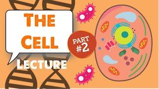 MCAT Biology Lecture: The Cell (2/5)