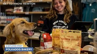 Get to know Newton