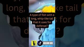 Amazing Animal Facts Unveiled Mammal Bird Reptile Fish Amphibian Discover unknow | Like & Subscribe