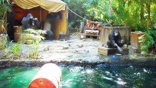 (Disneyland) Jungle Cruise On Ride (HD POV) Full Boat Tour Disneyland California