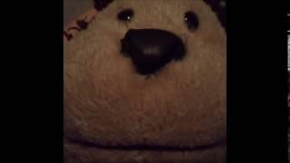 Chimpy's Message (TheSuperdog19's Instragram/Vines Video)