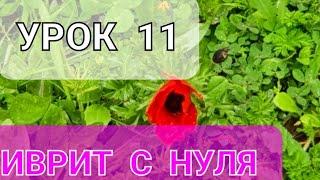 Иврит с Галей с нуля.Урок 11.Повторение пройденного.