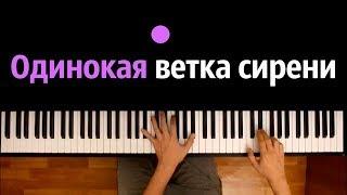 Валерий Залкин - Одинокая ветка сирени ● караоке | PIANO_KARAOKE ● ᴴᴰ + НОТЫ & MIDI