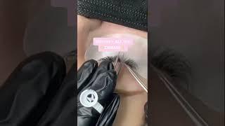 Difference Between Classic Hybrid Volume Eyelash Extensions | Beginner Lash Artist #yegilashtips