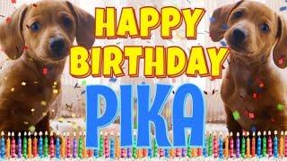 Happy Birthday Pika! ( Funny Talking Dogs ) What Is Free On My Birthday