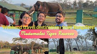 Top Nearby Places to Visit from Bangalore for a Weekend| Mudumalai Tiger Reserve| Tiger Paw Resort|