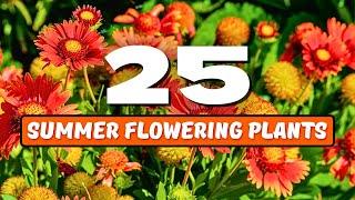  Top 25 Best SUMMER Flowering Plants  MUST HAVE SUMMER BLOOMS! 