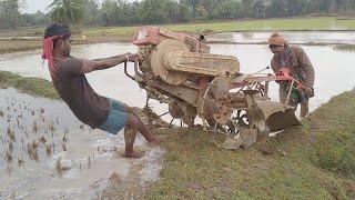 Vst power tiller Pudding for Summer season Rice Farming || Vst Shakti 130di Performance in Mud ||