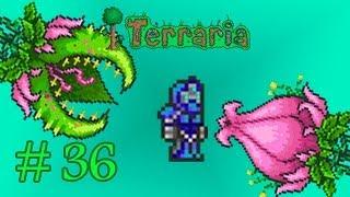 Как убить Плантеру, крафт Грибной брони (Terraria 1.2.3.1) #36