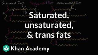 Saturated fats, unsaturated fats, and trans fats | Biology | Khan Academy