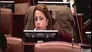 Intervención de la rep. Regina Zuluaga en la discusión y votación sobre las circunscripciones de paz