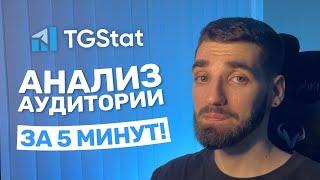 Анализ аудитории с TGStat — знай своего подписчика