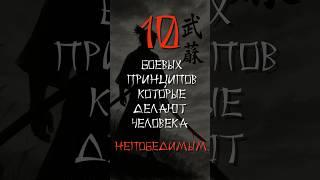 10 боевых принципов, которые делают человека непобедимым #стоицизм #цитатыосмысле #философия