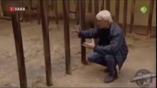 Ухх, как он сьебался)
