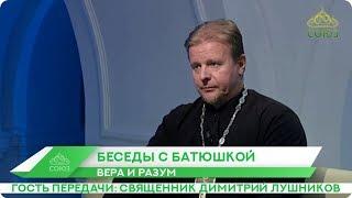 Беседы с батюшкой. 27 февраля 2020. Священник Димитрий Лушников. Вера и разум