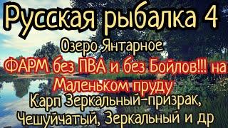 РР4. озеро Янтарное. ФАРМ без ПВА и Бойлов! Где ловить Карп Чешуйчатый, Зеркальный, Рама  и Призраки