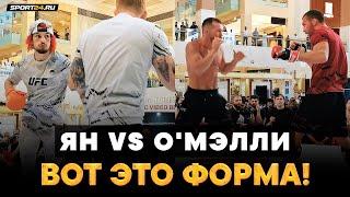 Петр Ян VS О'Мэлли: ОСТРЫЕ УДАРЫ, МОЩНЫЕ БРОСКИ / Тренировка перед UFC 280