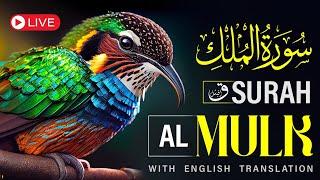 Al Surah Al Mulk Full,️ Recitation With (HD) || Arabic Text And Arabic Translation | @qafofficial