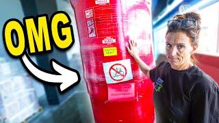 The CRAZIEST Thing Brian Bought For The Aquarium!