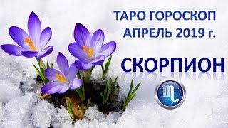 ТАРО ПРОГНОЗ НА АПРЕЛЬ 2019 г. СКОРПИОН