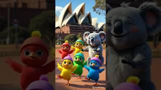 Dancing Chicks and Koala at the Sydney Opera House #shorts