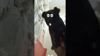 A  _________________ video 