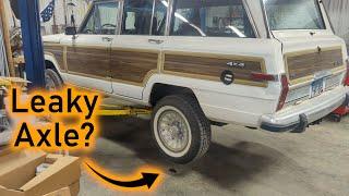 Bearings, End Seals, Pinion Seal, and Speedy Sleeves -- 1989 Jeep Grand Wagoneer (Dana 44 Rear)