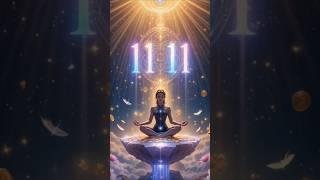 Manifest Anything with 1111 Hz | Gateway to Abundance & New Opportunities #1111hz