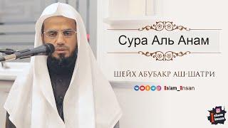 Абу Бакр Аш Шатри Сура Аль Анам  # 6  Abu Baker Al-Shatiri – Al-An'am