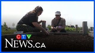Indigenous ceremony in the Sault