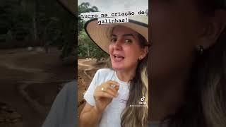 Como ter lucro na Criação de galinha??? Fran Adorno