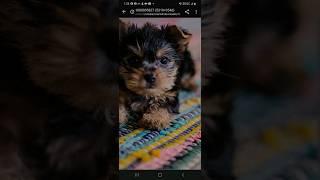 how To Use Unsplash
