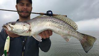 2 Hours Catching BIG Speckled Trout!