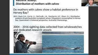 The effects of swim with whale tourism on humpback whales in Hervey Bay, Australia?