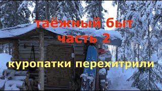 В избу с ночёвкой.Охота.Таёжный быт,часть-2(делаю из обычной печки-"экономку")