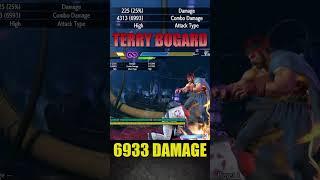 TERRY BOGARD  EASY 6933 Damage  Street Fighter 6