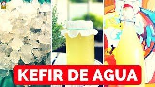 Cómo hacer KEFIR DE AGUA