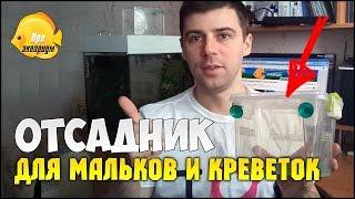 ОТСАДНИК ДЛЯ МАЛЬКОВ в общем аквариуме своими руками. Родильня для мальков и креветок | САМОДЕЛКИ