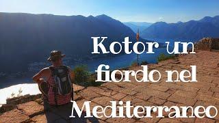 Kotor un fiordo nel Mediterraneo - Kotor a fjord in the  Mediterranean #kotor #montenegro