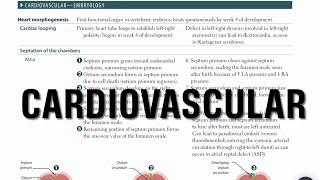 USMLE STEP 1|| FIRST AID READ WITH ME|| CARDIOVASCULAR SYSTEM|| Pathoma annotated