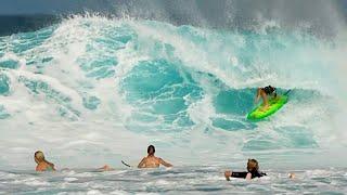 Mason Ho Surfing New …Lost Pisces Fish With Baby Bear